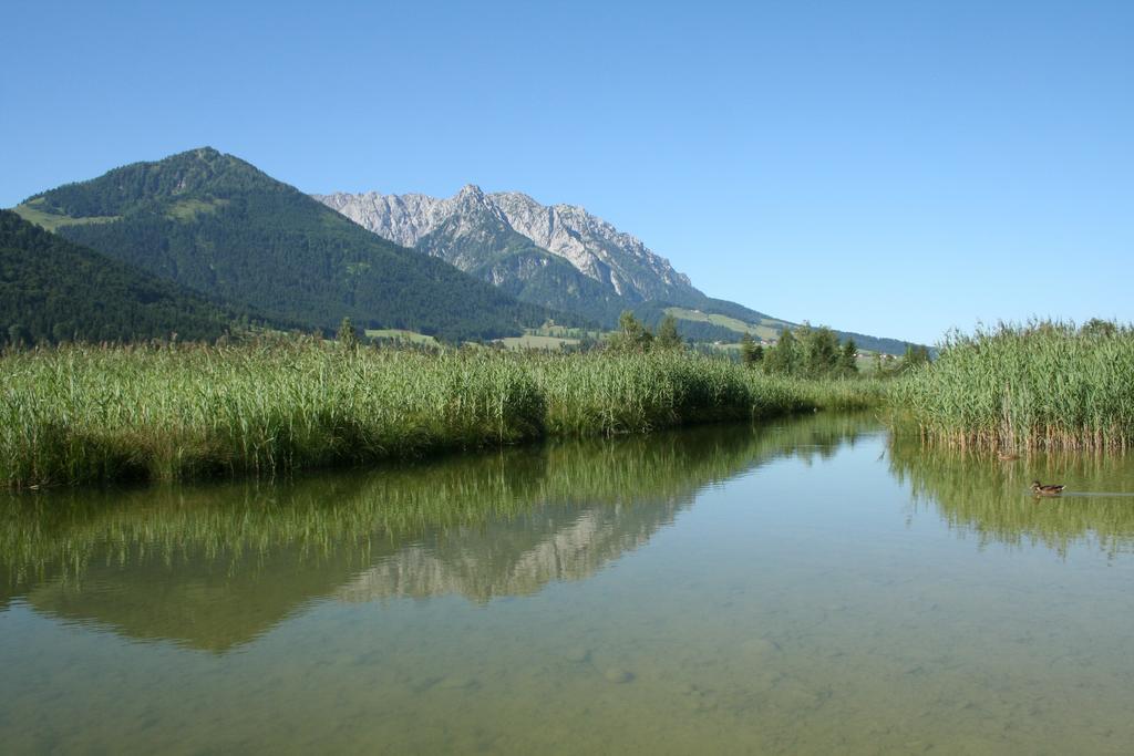 Pension Essbaum Walchsee Buitenkant foto